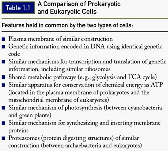 Table: Features held in common