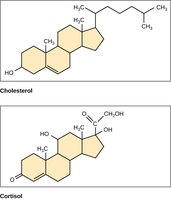 Cholesterol and related sterols