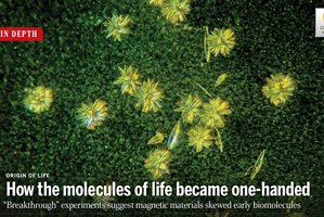 How the molecules of life became one-handed