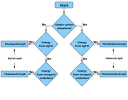 Classification of organisms based on energy and carbon sources