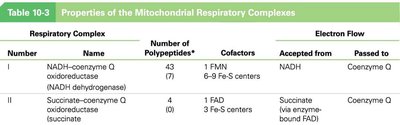 Properties of mitochondrial respiratory complexes (continued)