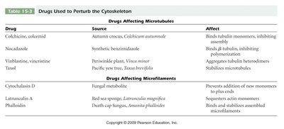 Drugs used to perturb the cytoskeleton