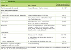 Table of blood cell types and functions