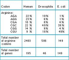 Codon usage bias table for arginine codons in different organisms