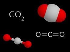 CO2 molecule structure