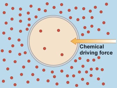 Chemical driving force for solute movement