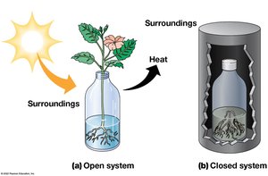 Open and closed systems in thermodynamics