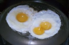 Egg white (ovalbumin)