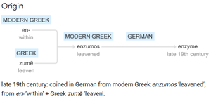 Origin of the word enzyme