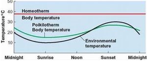 Temperature sensitivity among enzymes