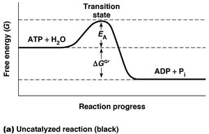 Activation energy diagram