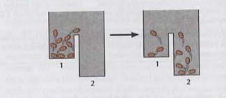 Jumping Bean Analogy: Enthalpy Change
