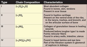Table of collagen types, chain composition, and characteristics