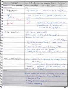Triglyceride breakdown diagram