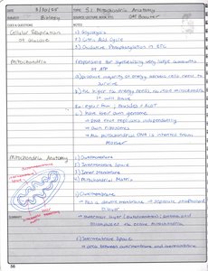 Mitochondrial anatomy diagram