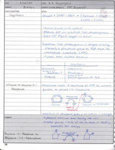 Glycolysis pathway diagram