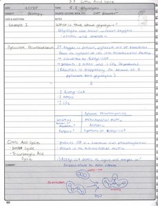 Pyruvate decarboxylation diagram