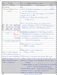 Electron transport chain diagram