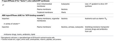 Table of main types of transport ATPases