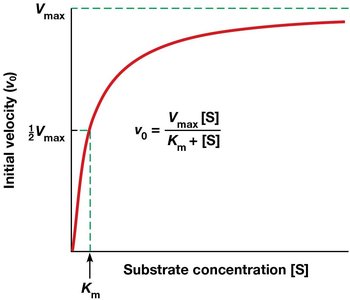Michaelis-Menten plot