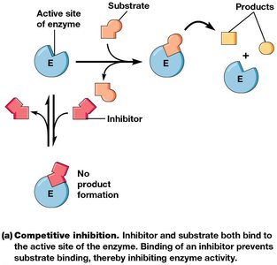 Competitive inhibition diagram