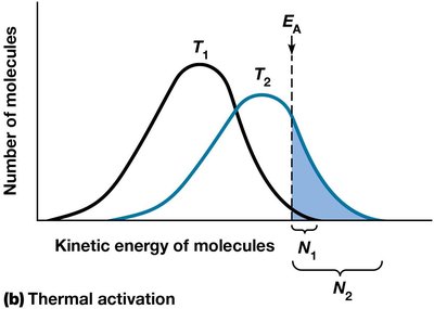 Thermal activation and kinetic energy distribution
