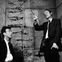 Watson and Crick with DNA double helix model
