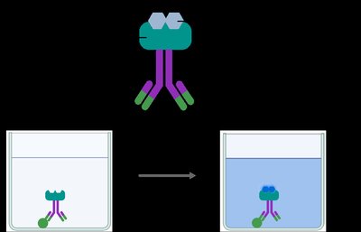 ELISA color change mechanism