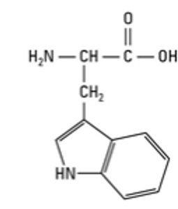 Secondary antibody production