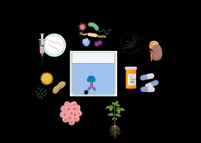 ELISA applications in medicine, agriculture, and research