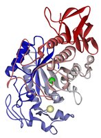 Example of an enzyme structure