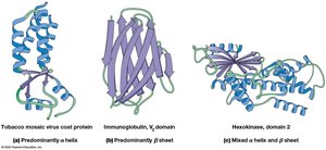 Fibrous protein example