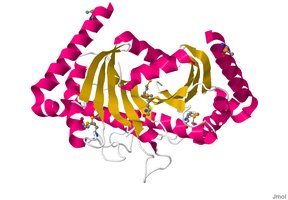 Example of a motility protein
