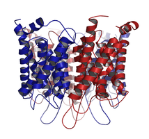 Transport protein structure