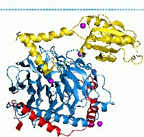 Signaling protein structure