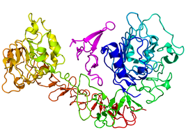 Receptor protein structure