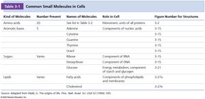 Table of common small molecules in cells