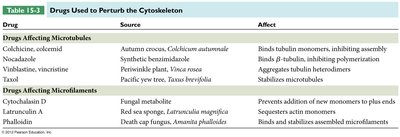 Table of drugs affecting microtubules and microfilaments