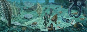 Artistic depiction of Cambrian marine life