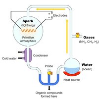 Diagram of the Miller-Urey experiment