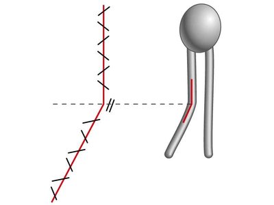 Kink in unsaturated fatty acid