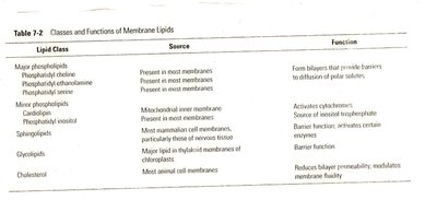 Classes and functions of membrane lipids table