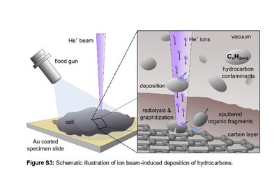 Helium ion microscopy schematic