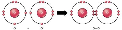 Covalent bond formation