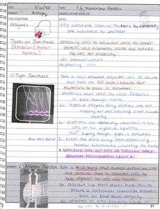 Tight junction diagram