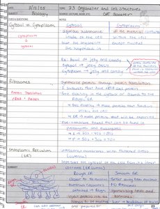 Endoplasmic reticulum diagram