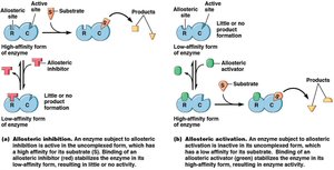 Allosteric regulation: inhibition and activation