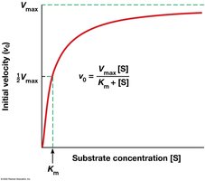 Michaelis-Menten curve and equation