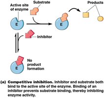 Competitive inhibition diagram