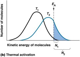 Thermal activation and kinetic energy distribution